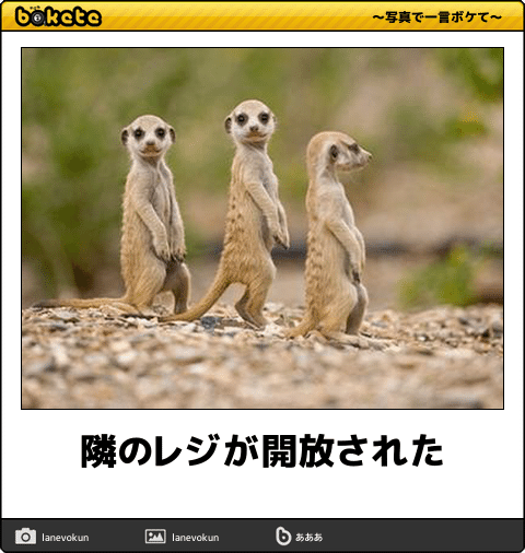 ガルちゃんに一度でも貼ったことある画像を再度貼ってみるトピ