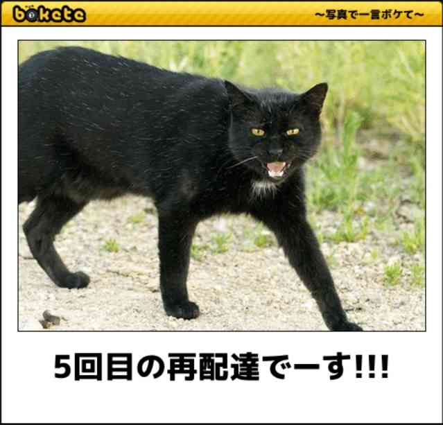 ガルちゃんに一度でも貼ったことある画像を再度貼ってみるトピ