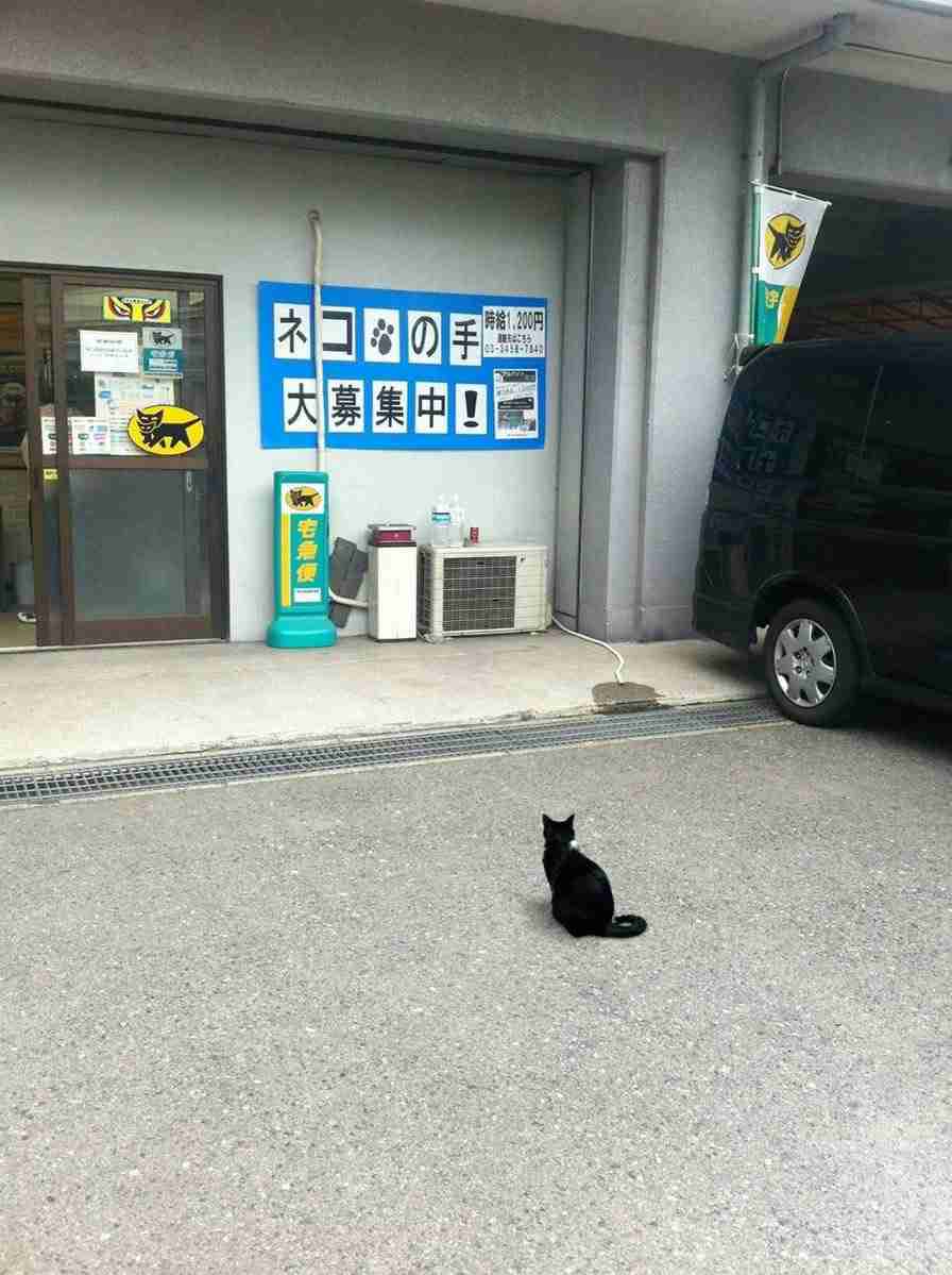ガルちゃんに一度でも貼ったことある画像を再度貼ってみるトピ