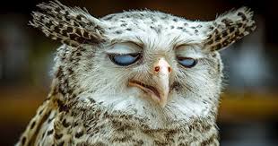 後から笑ってしまった話！