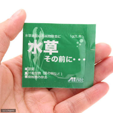 メダカ倶楽部part2