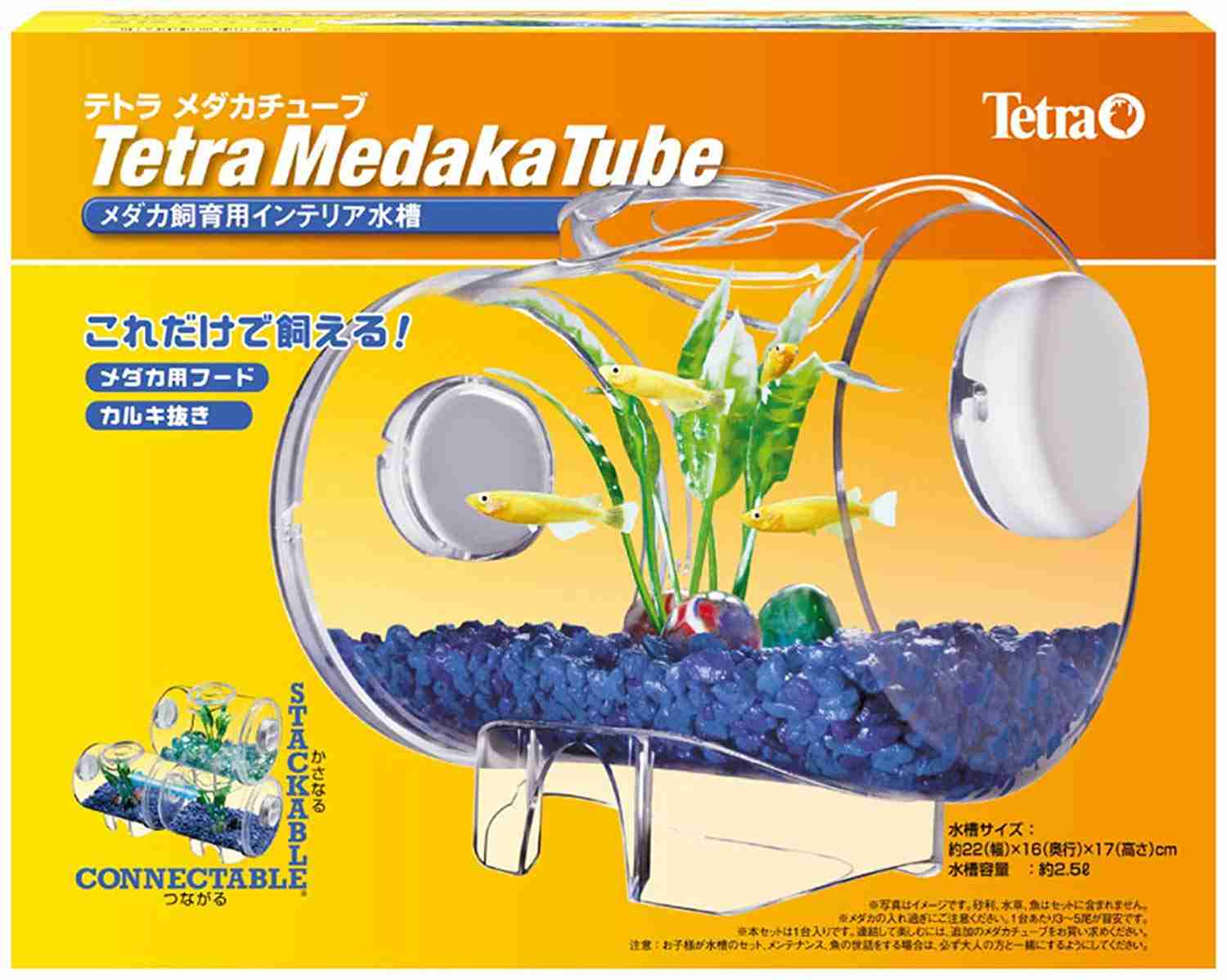 メダカ倶楽部part2