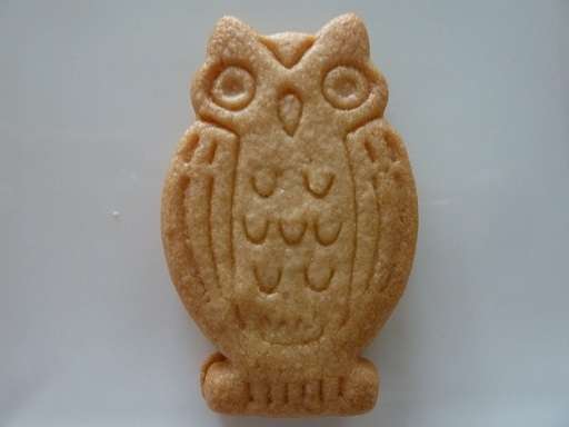 初出店！！フクロウカフェ  がるチャン店