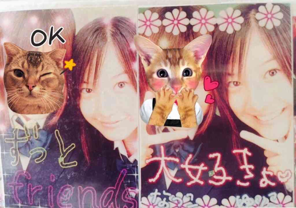 芸能人のプリクラがみたい!