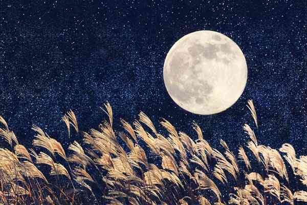 中秋の名月だから月の画像を貼ろう