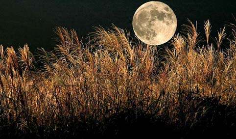 中秋の名月だから月の画像を貼ろう