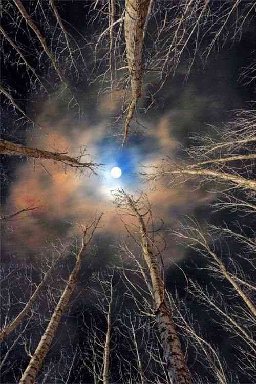 中秋の名月だから月の画像を貼ろう