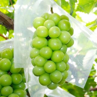 中毒性があると思う食べ物や飲み物