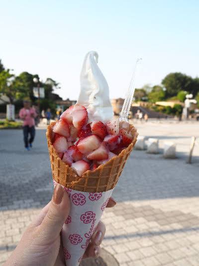 福岡の美味しいもの教えてください！