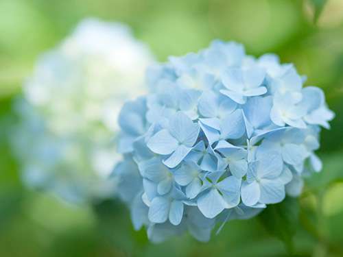 青（水色）が好きな人が集まるトピ☆