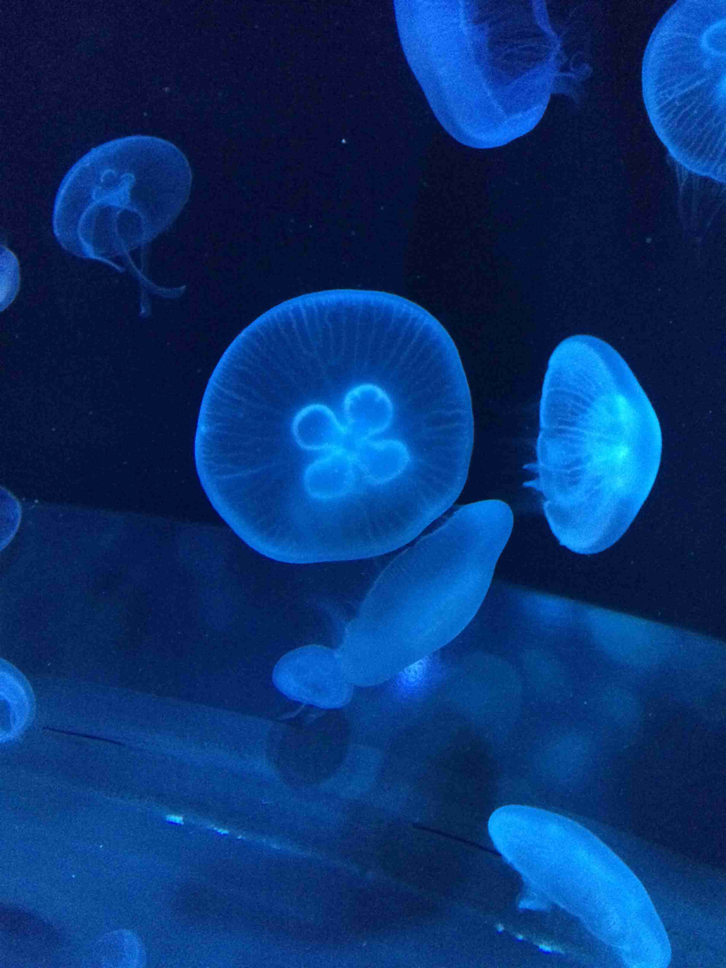 青（水色）が好きな人が集まるトピ☆