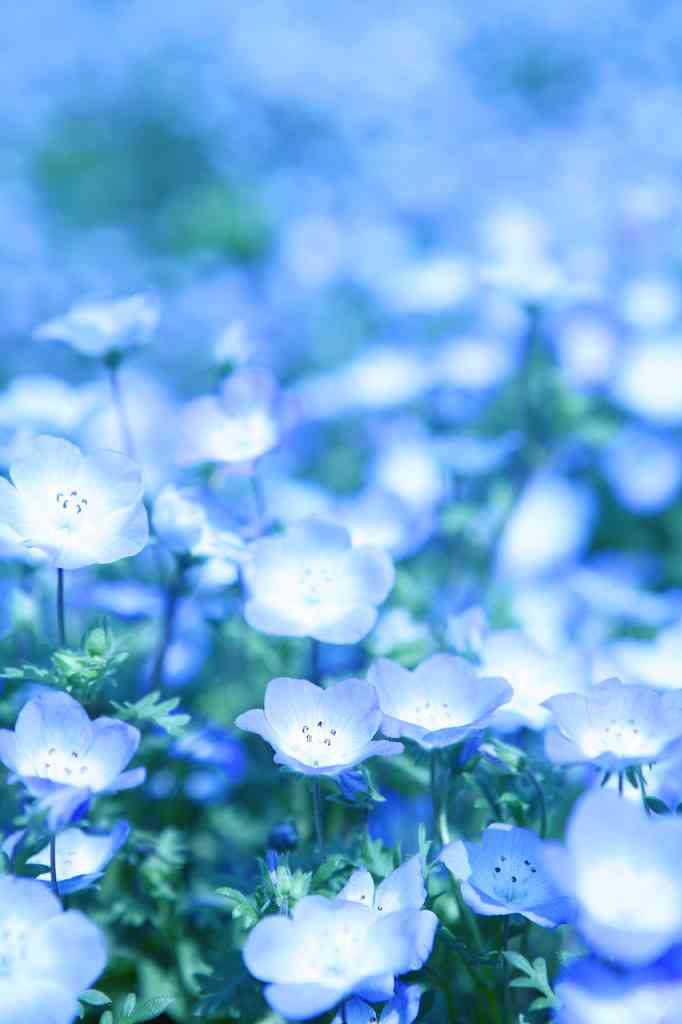 青（水色）が好きな人が集まるトピ☆