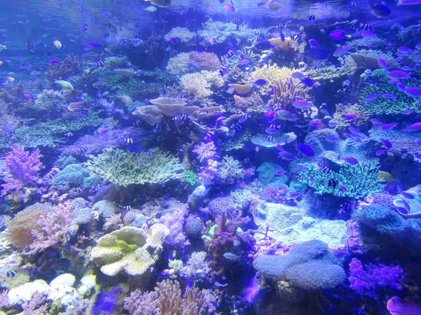 青（水色）が好きな人が集まるトピ☆