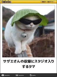 サザエさんにツッコミを入れるトピ