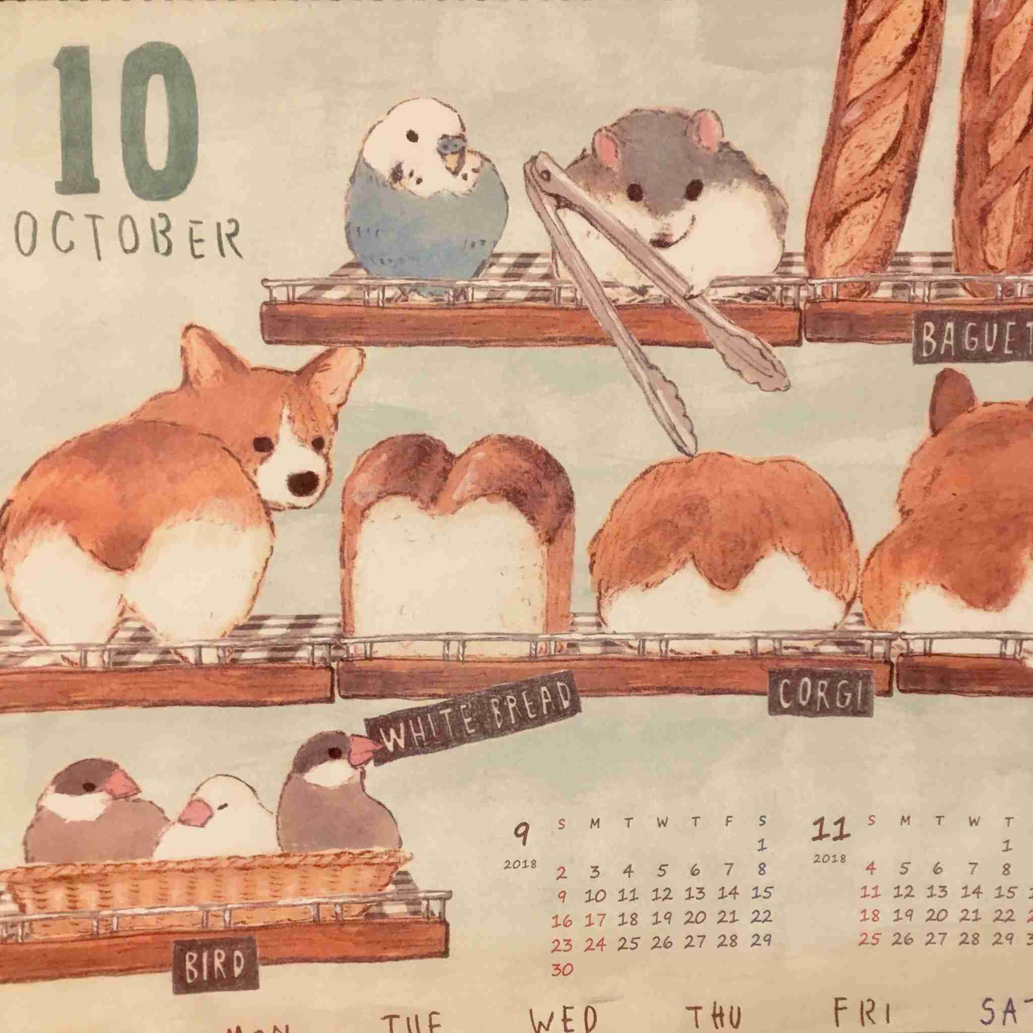 コーギー