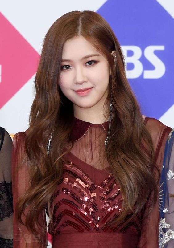 「BLACKPINK」の動画4億回再生　紅白