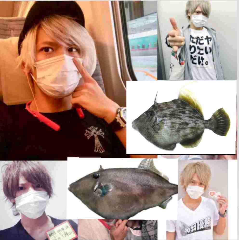 夢は「一生モテたい」…暴行容疑で起訴された元ミスター東大候補の人物像とは?