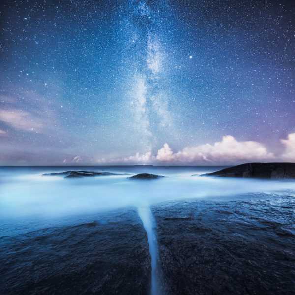 【画像】星のトピ
