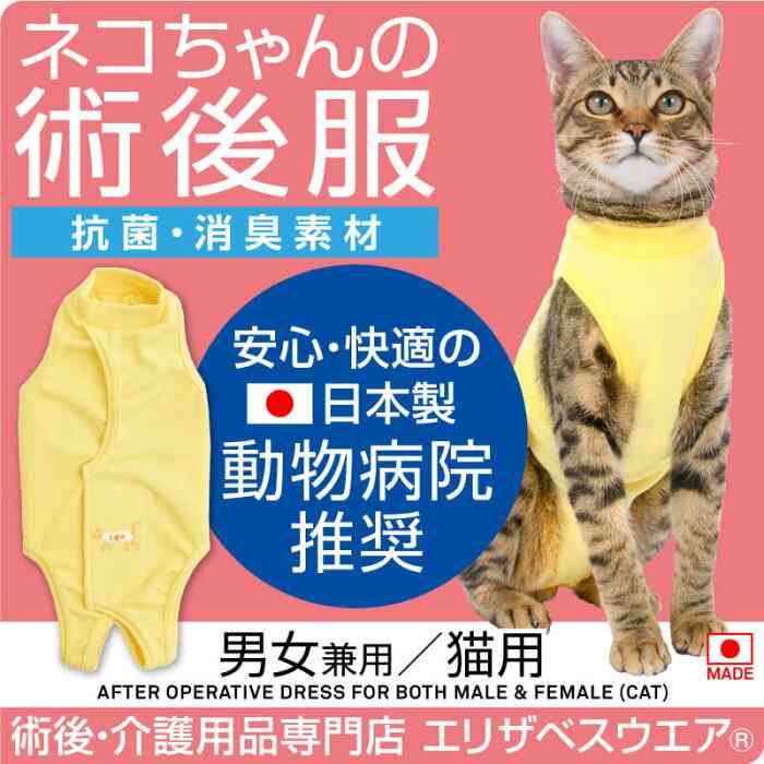 「ごめん笑った」「レスリング選手かと」　猫の後ろ姿に、ツッコミが殺到！