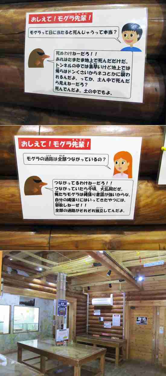 芸能人の凄さが分かる画像をひたすら貼っていくトピ