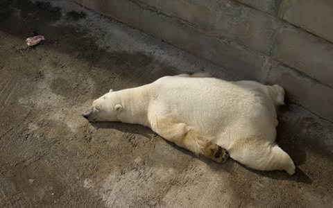 自分、疲れてるな…と思ったエピソード
