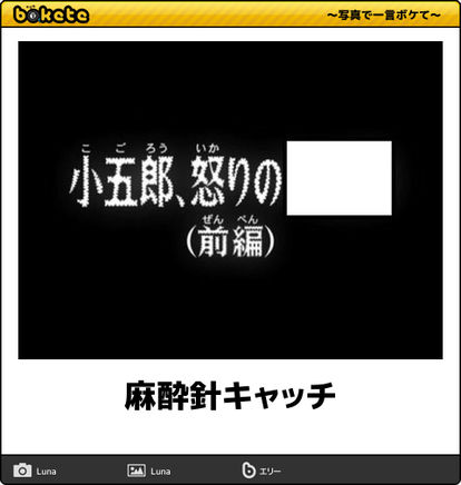 名探偵コナンのboketeが集まるトピ