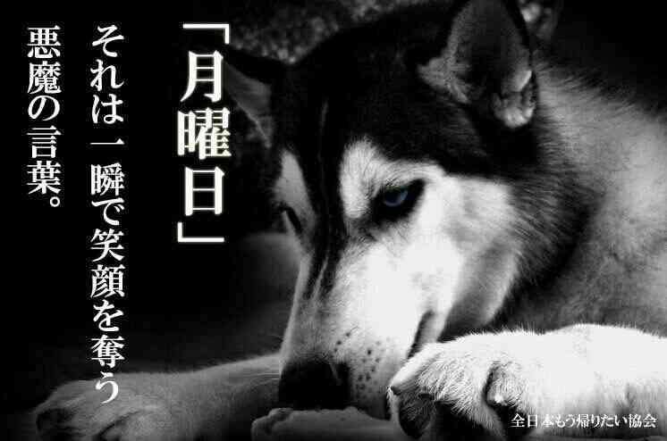 日曜の午後、まったり雑談トピ🌼