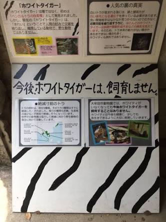 ホワイトタイガーに襲われ職員心肺停止　鹿児島市の動物公園