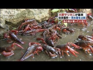 デリケートゾーンの匂い