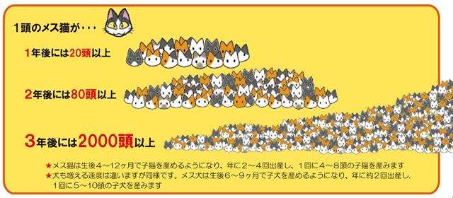 ビッグダディ元妻・美奈子、第8子出産控えトラブル多発…「何人産んでも慣れない」と吐露