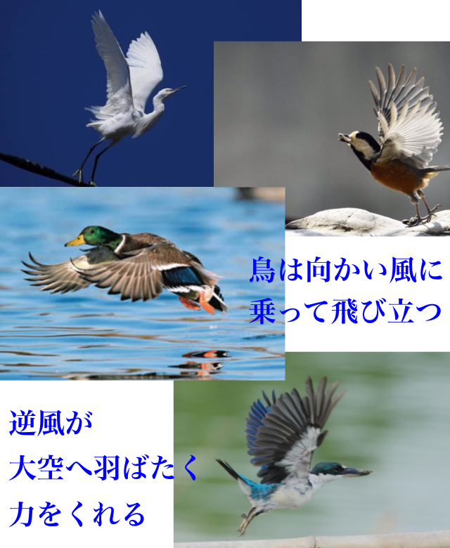 人生辛いけど、頑張りたい・頑張ってるひと