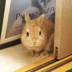 【もろたで】せやかて工藤になって小さい秋見つけよう 【Part.6】