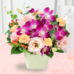 【もろたで】せやかて工藤になって小さい秋見つけよう 【Part.6】