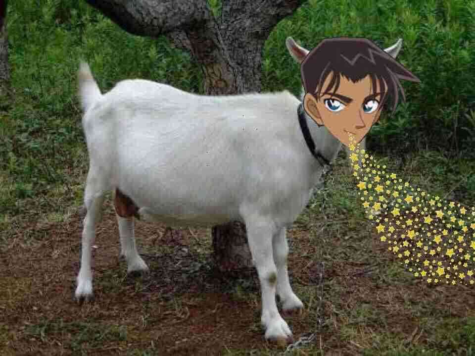 【もろたで】せやかて工藤になって小さい秋見つけよう 【Part.6】