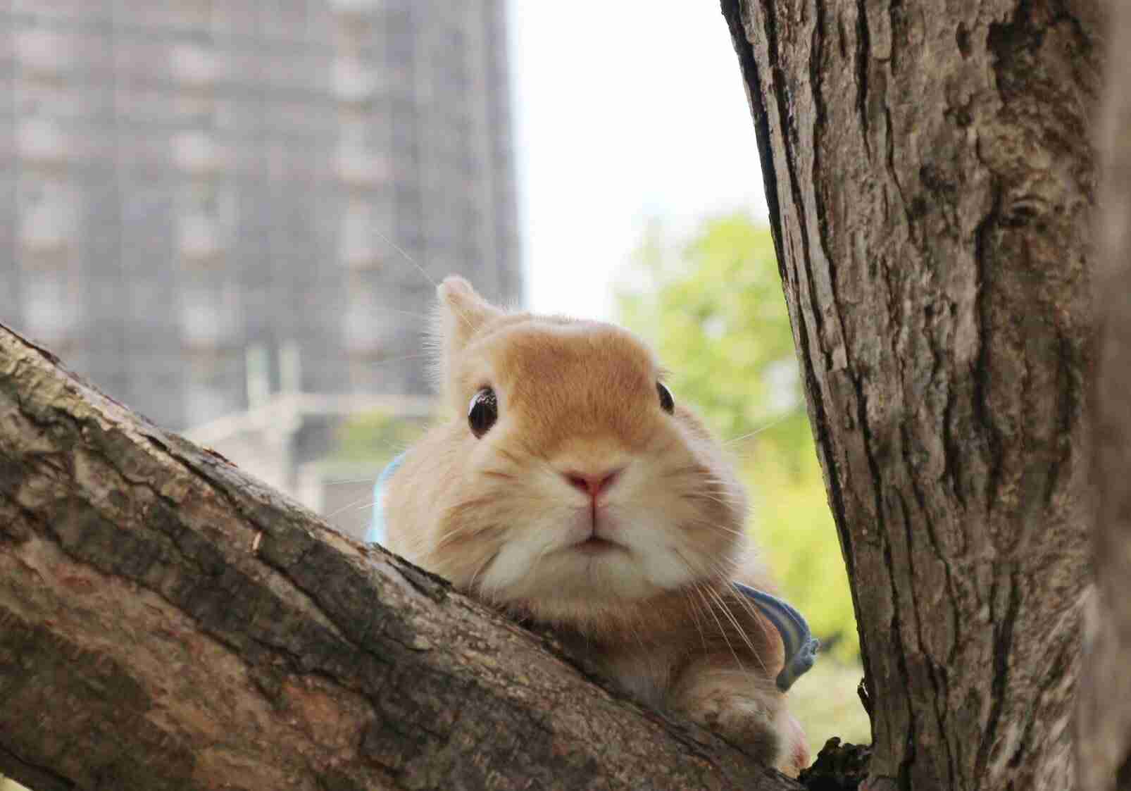 【もろたで】せやかて工藤になって小さい秋見つけよう 【Part.6】