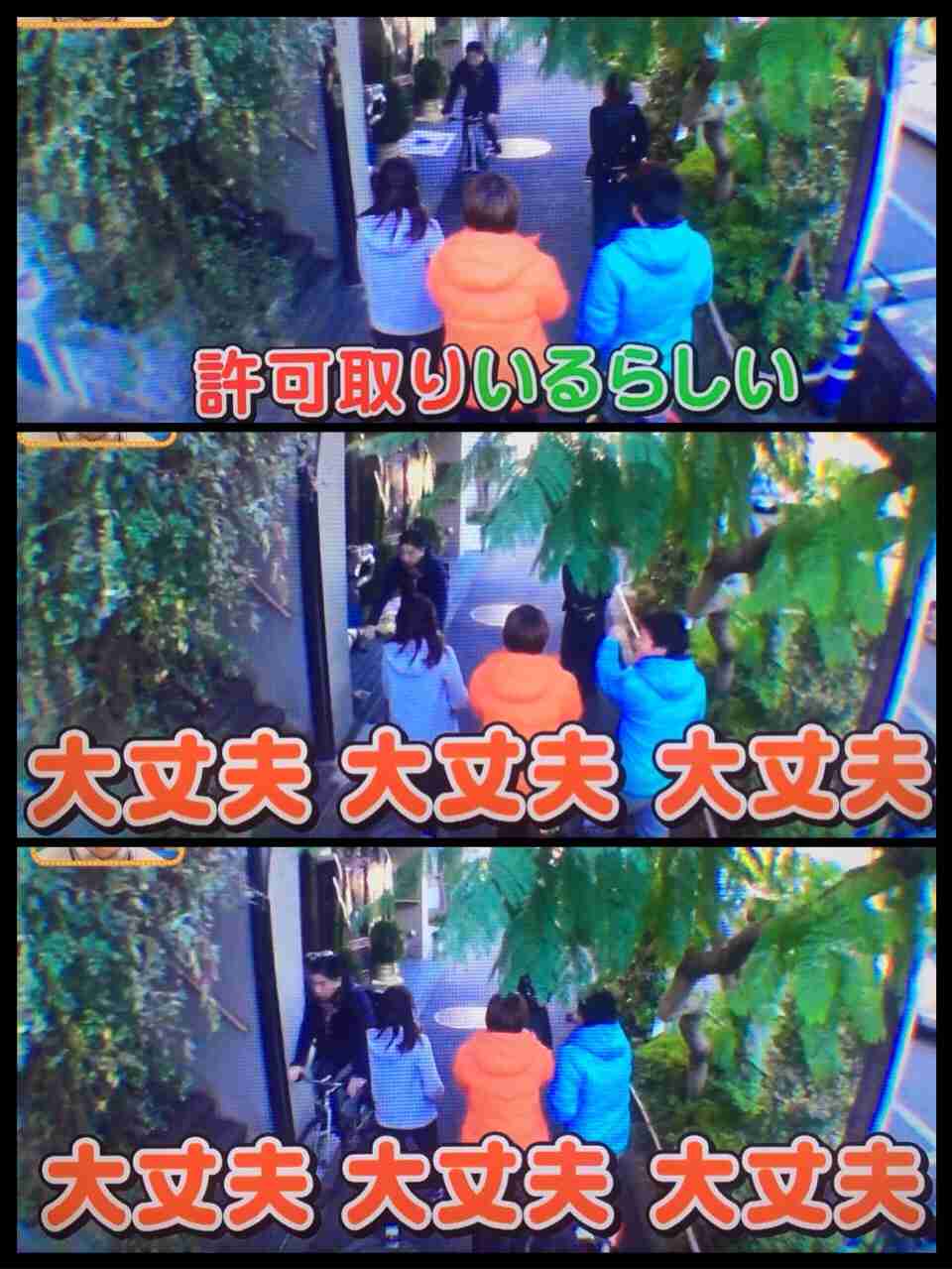 ヒルナンデスを語ろう!