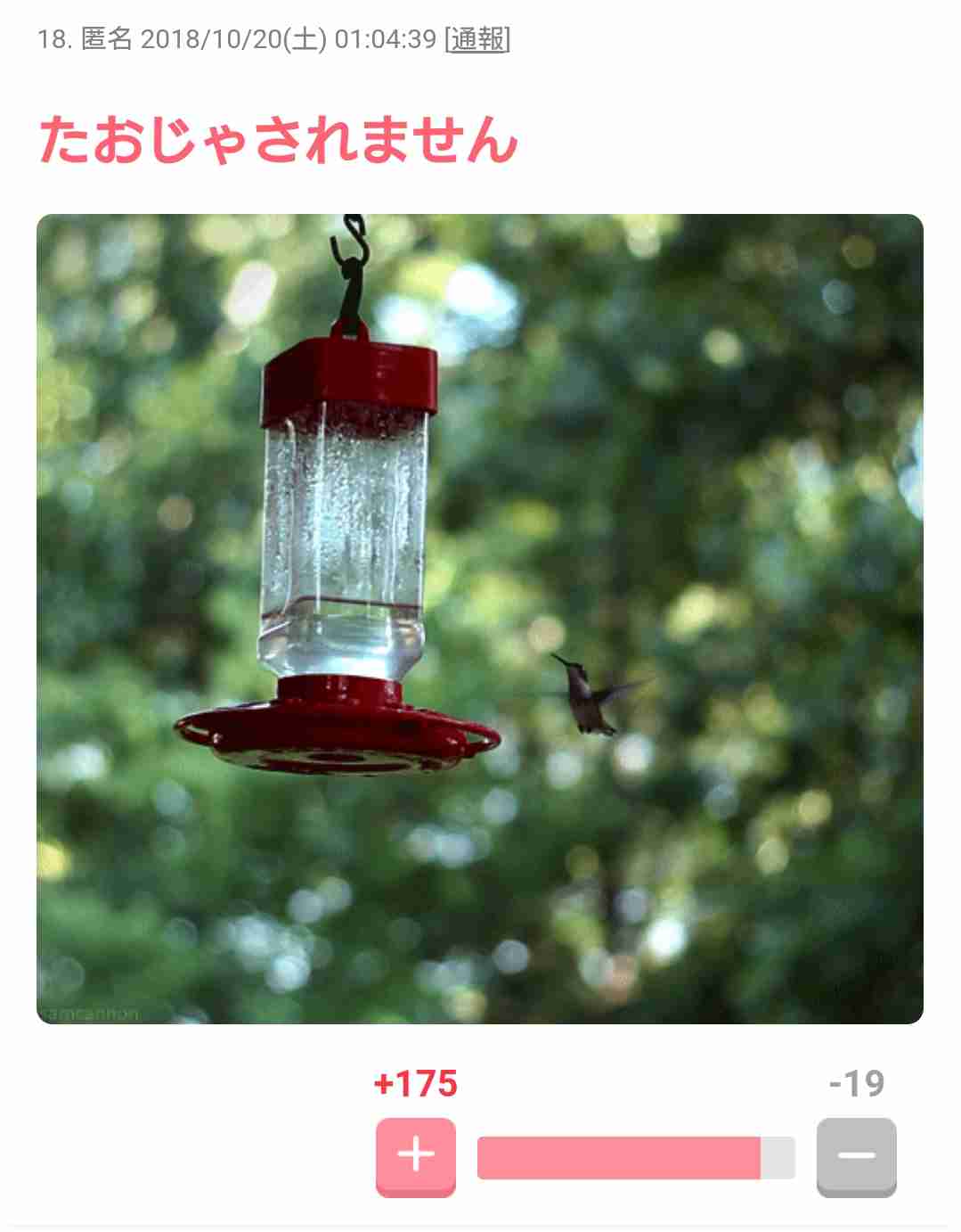 【画像】やさしさで溢れるトピ♪