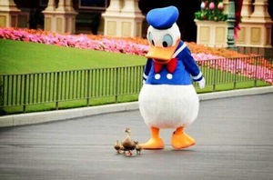 【画像】やさしさで溢れるトピ♪