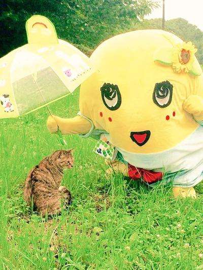 【画像】やさしさで溢れるトピ♪