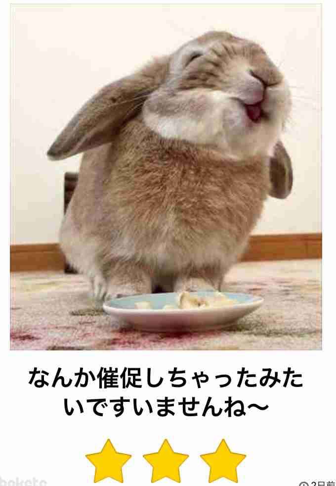 お金持ちになってルヴァンパーティーをしてみるトピ