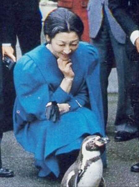 小室圭さんと母のマンションで警察沙汰、汚物投げ込み事件