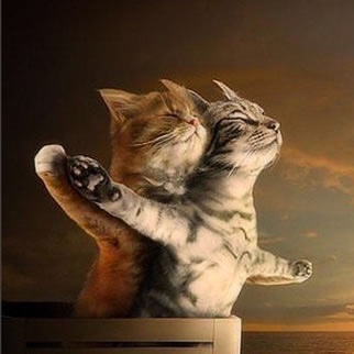 タイタニック2号、22年出航へ＝最新の安全設備で「復元」