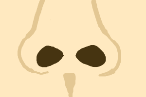 鼻の穴が上を向いている人
