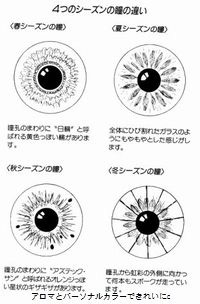 自分のパーソナルカラーに満足している人