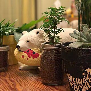 木彫りの熊活用法