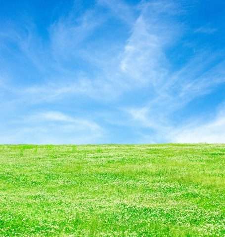 何かを言うと誰かが返事をしてくれるトピ