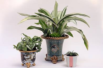 知っている大学にプラス