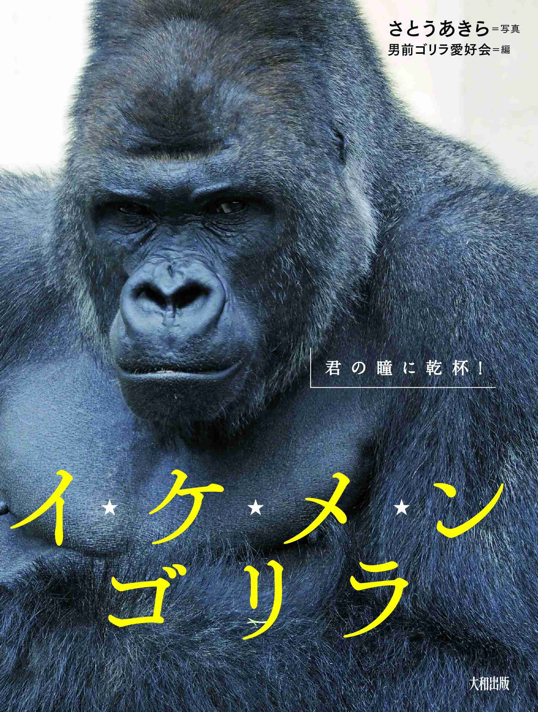 超絶美男が見たい