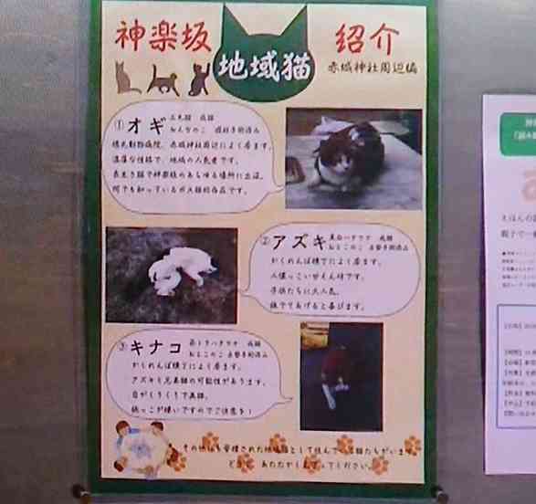 【実況、感想】僕とシッポと神楽坂 ＃01