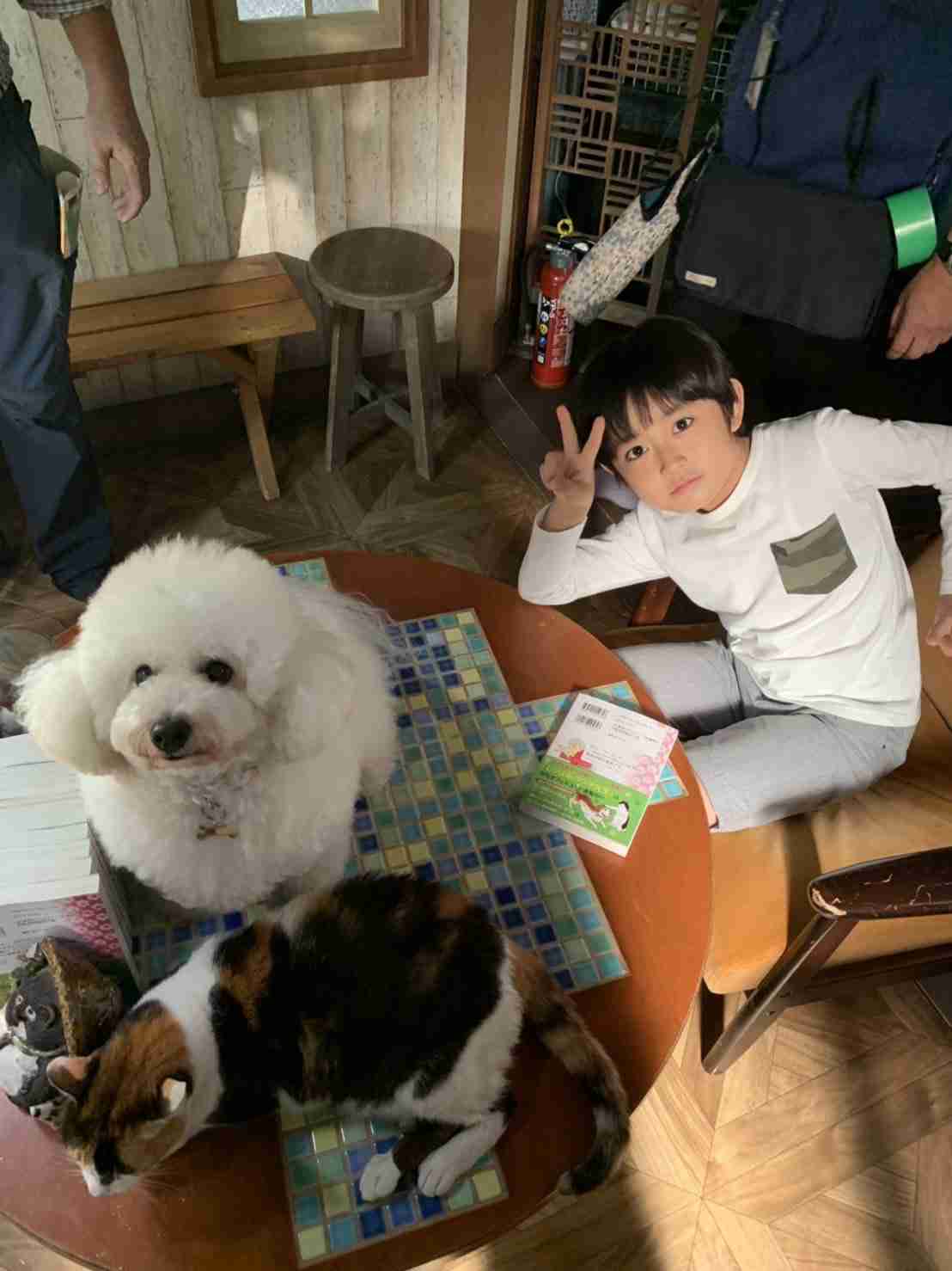 【実況、感想】僕とシッポと神楽坂 #01